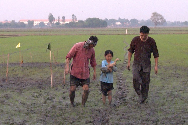 Thu vi Xuan Bac Minh Khang dua con di bua gieo ma-Hinh-15